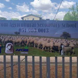 Outdoor Displays_08e5065b