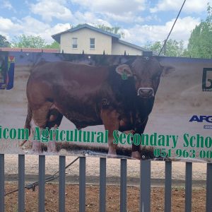 Outdoor Displays_eb9ba11e